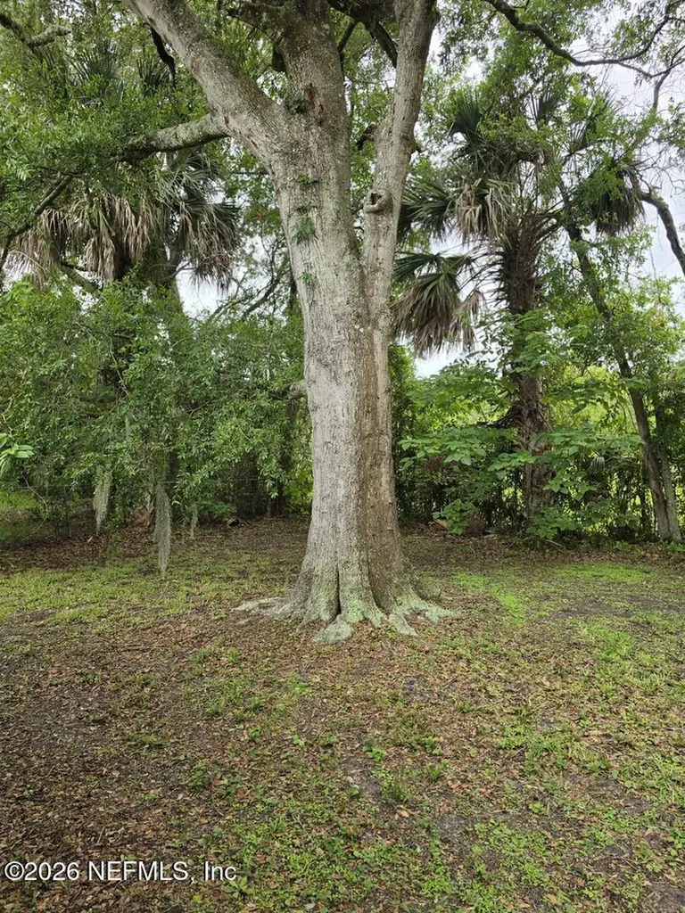 950 Millard Court W Jacksonville FL 32225