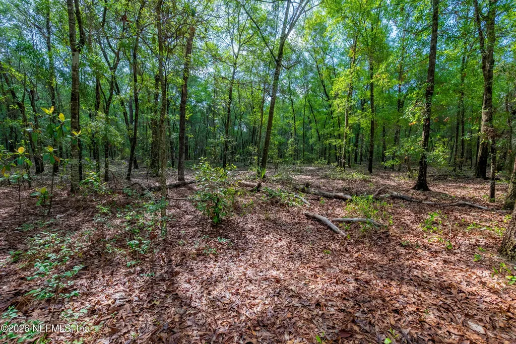 Tbd Lot 5 SE 46th Loop Keystone Heights FL 32656