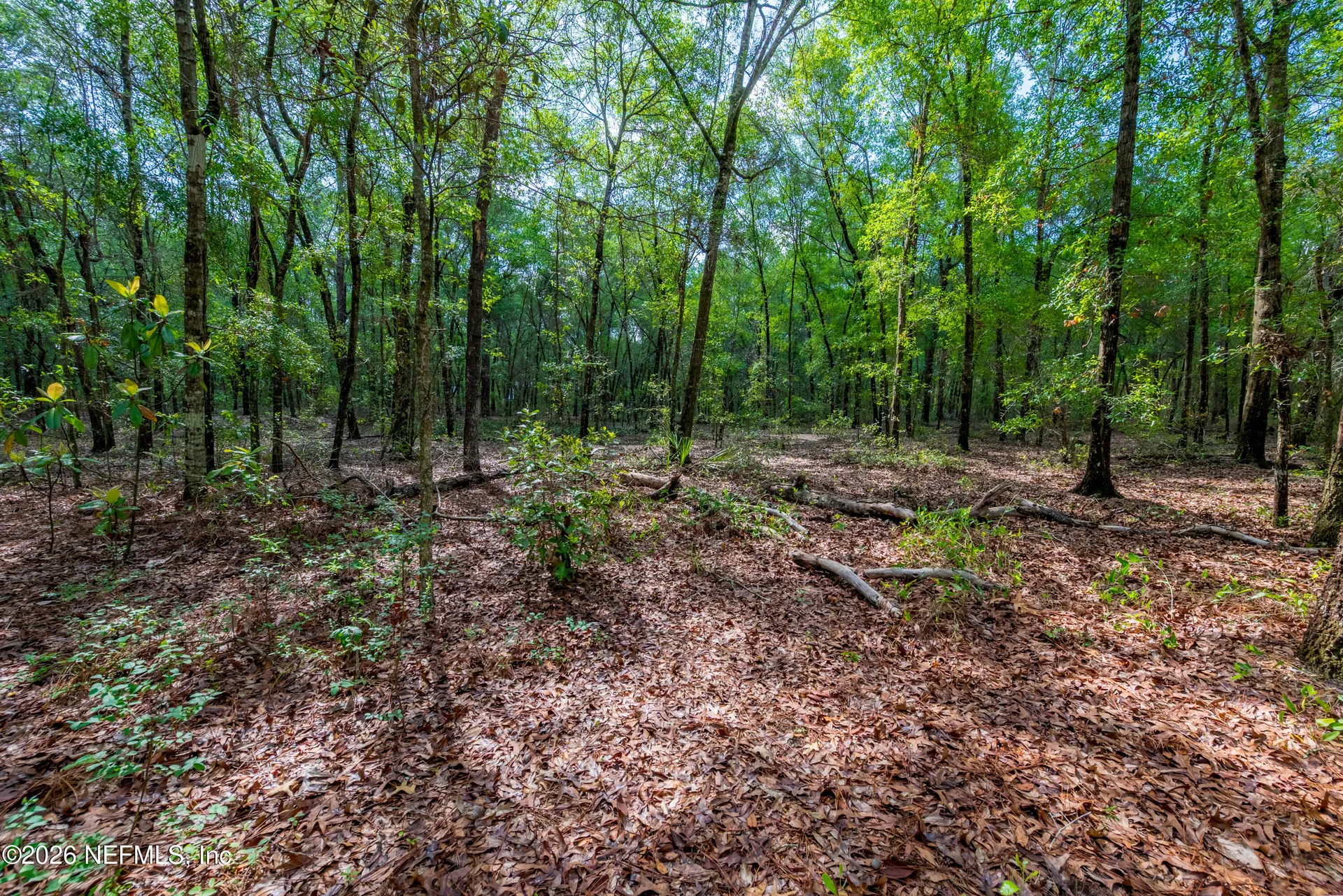 Tbd Lot 5 SE 46th Loop Keystone Heights FL 32656