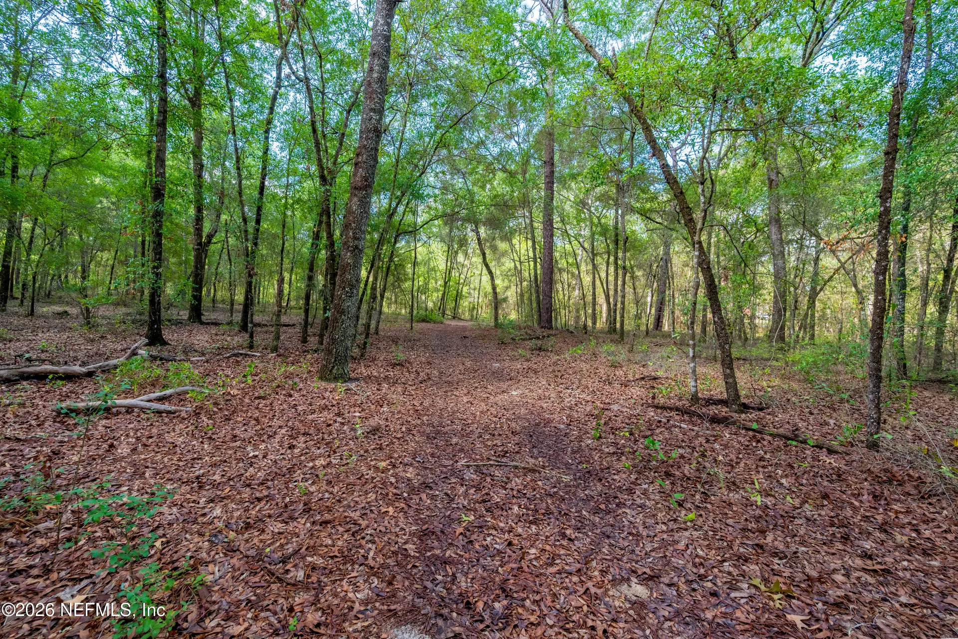 Tbd Lot 4 SE 46th Loop Keystone Heights FL 32656