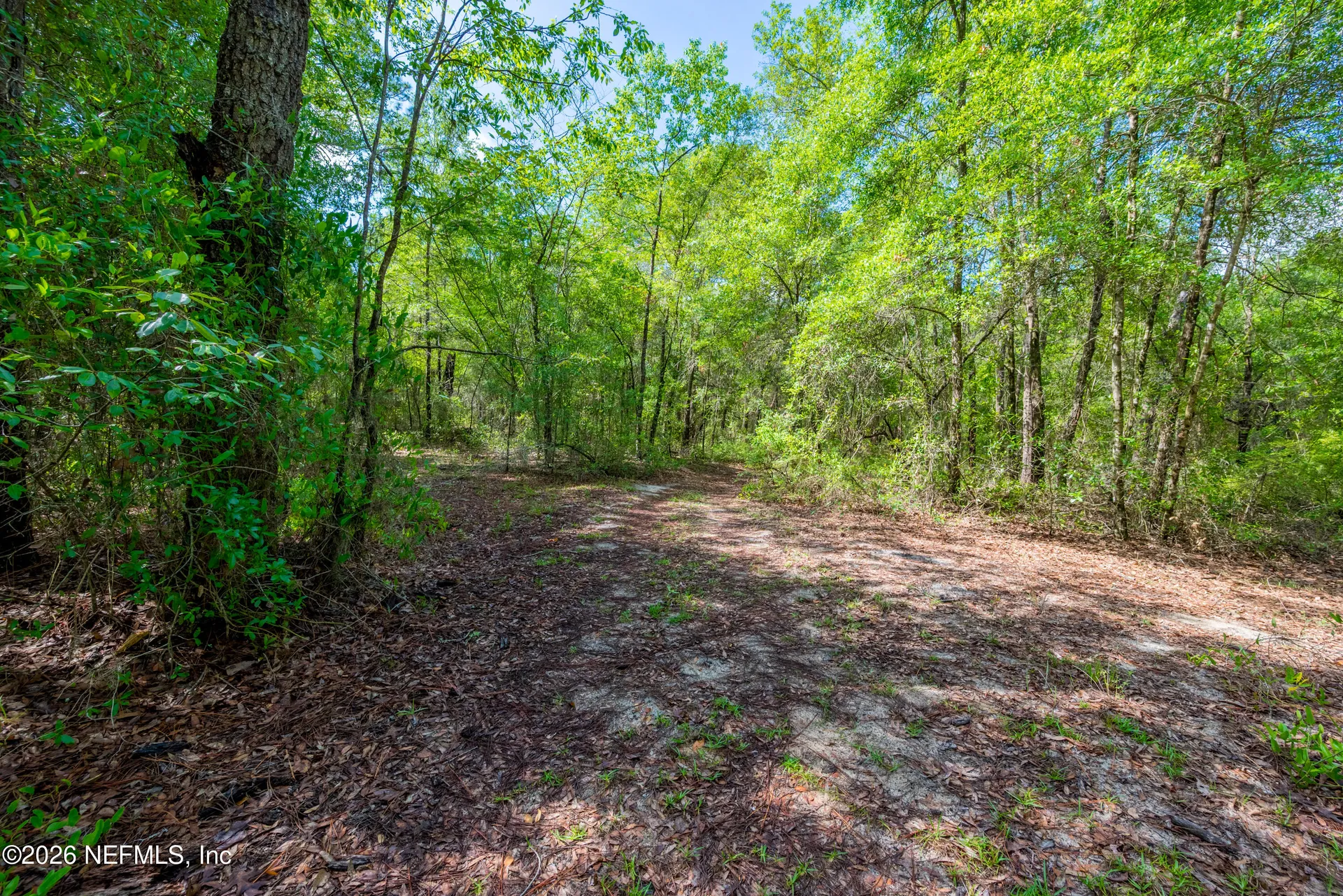 Tbd Lot 4 SE 46th Loop Keystone Heights FL 32656