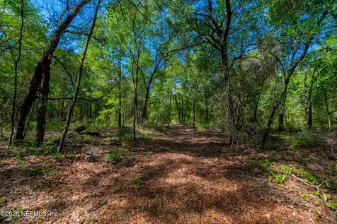 Tbd Lot 4 SE 46th Loop Keystone Heights FL 32656