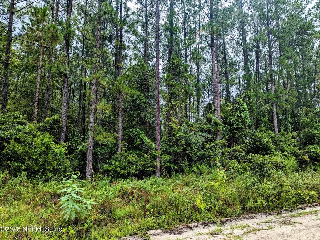 4436 Lori Loop Road Keystone Heights FL 32656