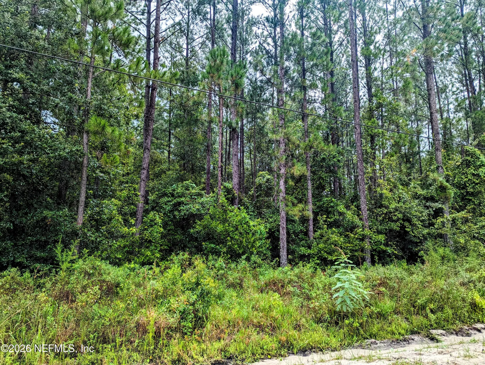 4436 Lori Loop Road Keystone Heights FL 32656