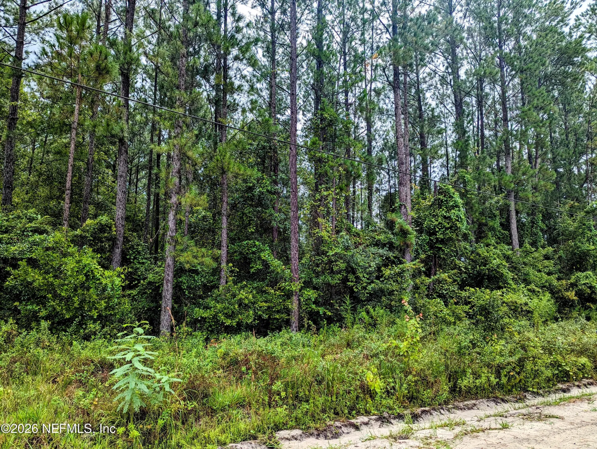 4436 Lori Loop Road Keystone Heights FL 32656