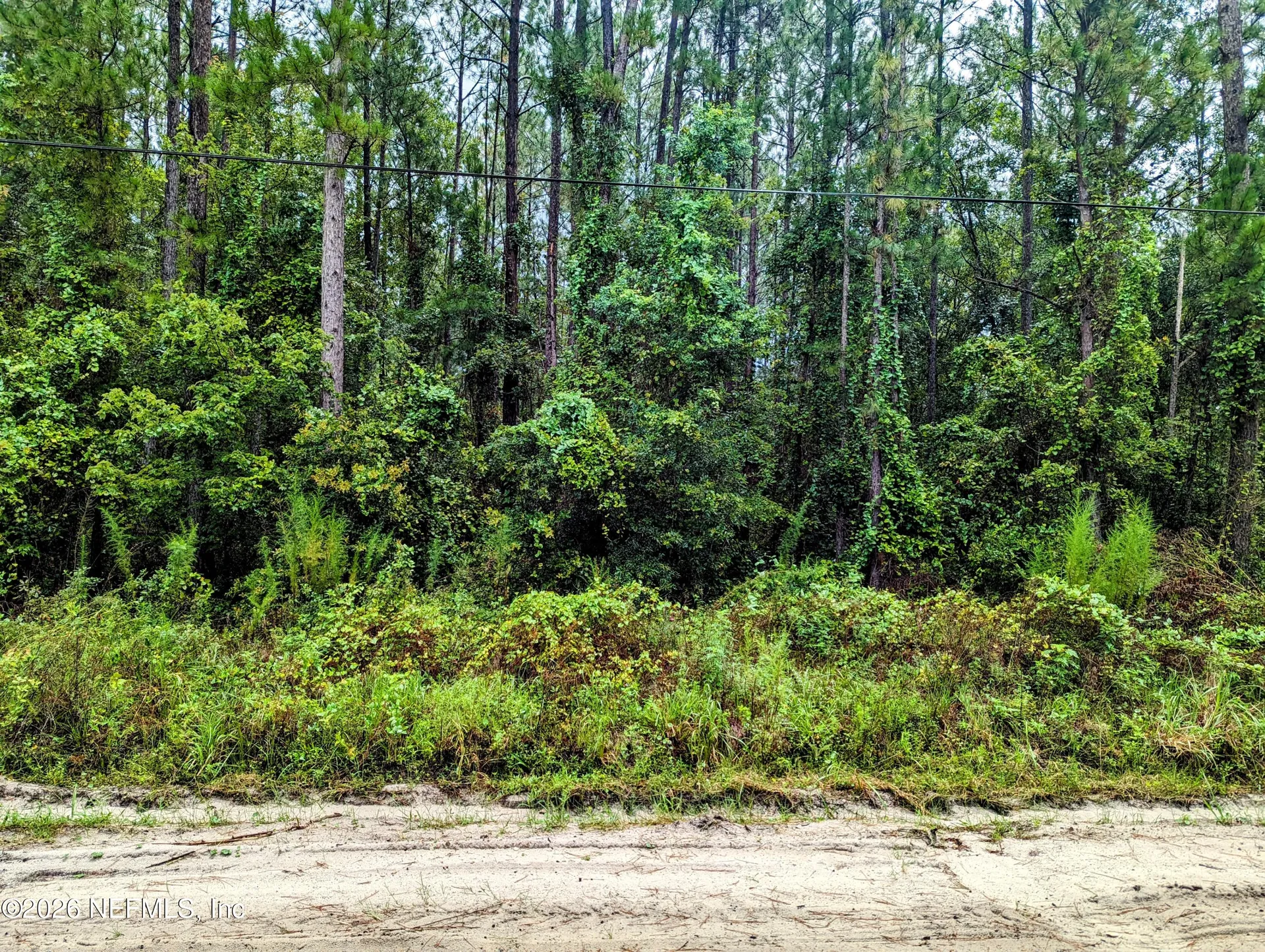 4436 Lori Loop Road Keystone Heights FL 32656