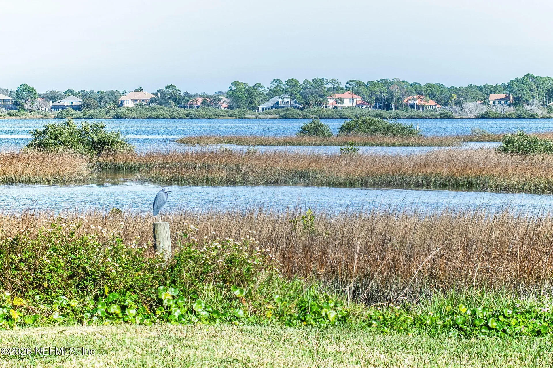 507 Gentian Road St. Augustine FL 32086
