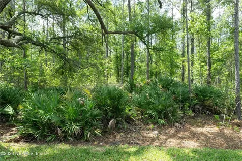 339 Spring Line Drive St. Johns FL 32259