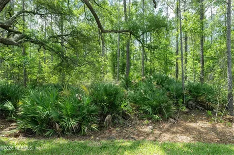 339 Spring Line Drive St. Johns FL 32259