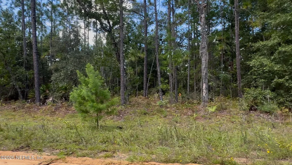 27 Neisman Avenue Lot 27 Interlachen FL 32148