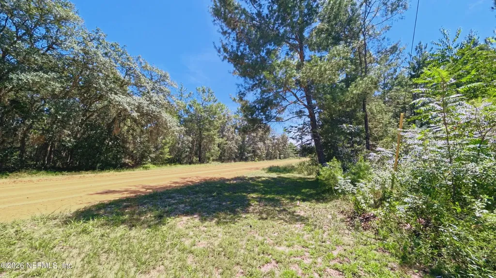 27 Neisman Avenue Lot 27 Interlachen FL 32148