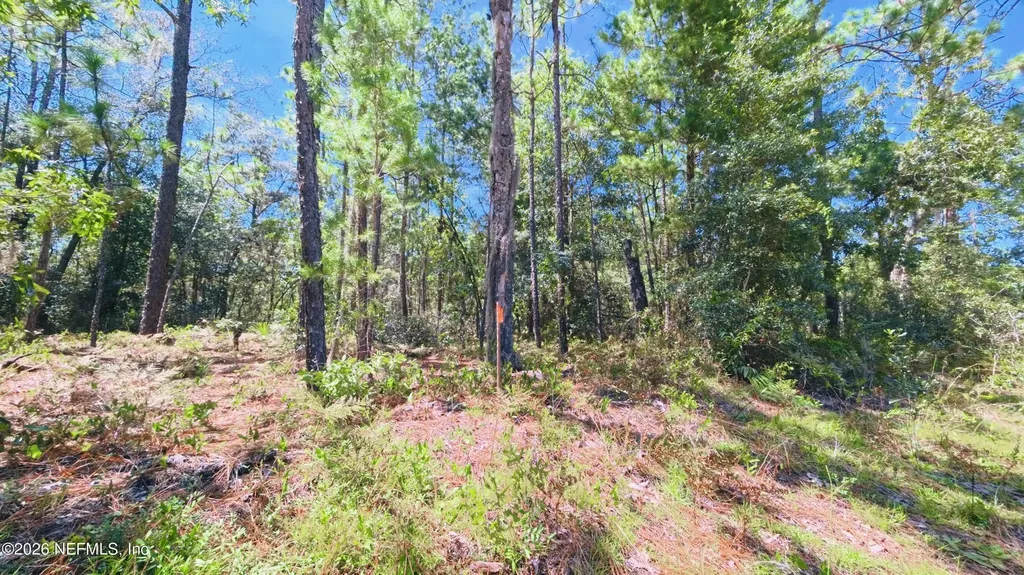 27 Neisman Avenue Lot 27 Interlachen FL 32148