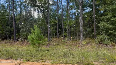 27 Neisman Avenue Lot 27 Interlachen FL 32148