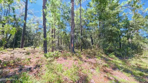 27 Neisman Avenue Lot 27 Interlachen FL 32148