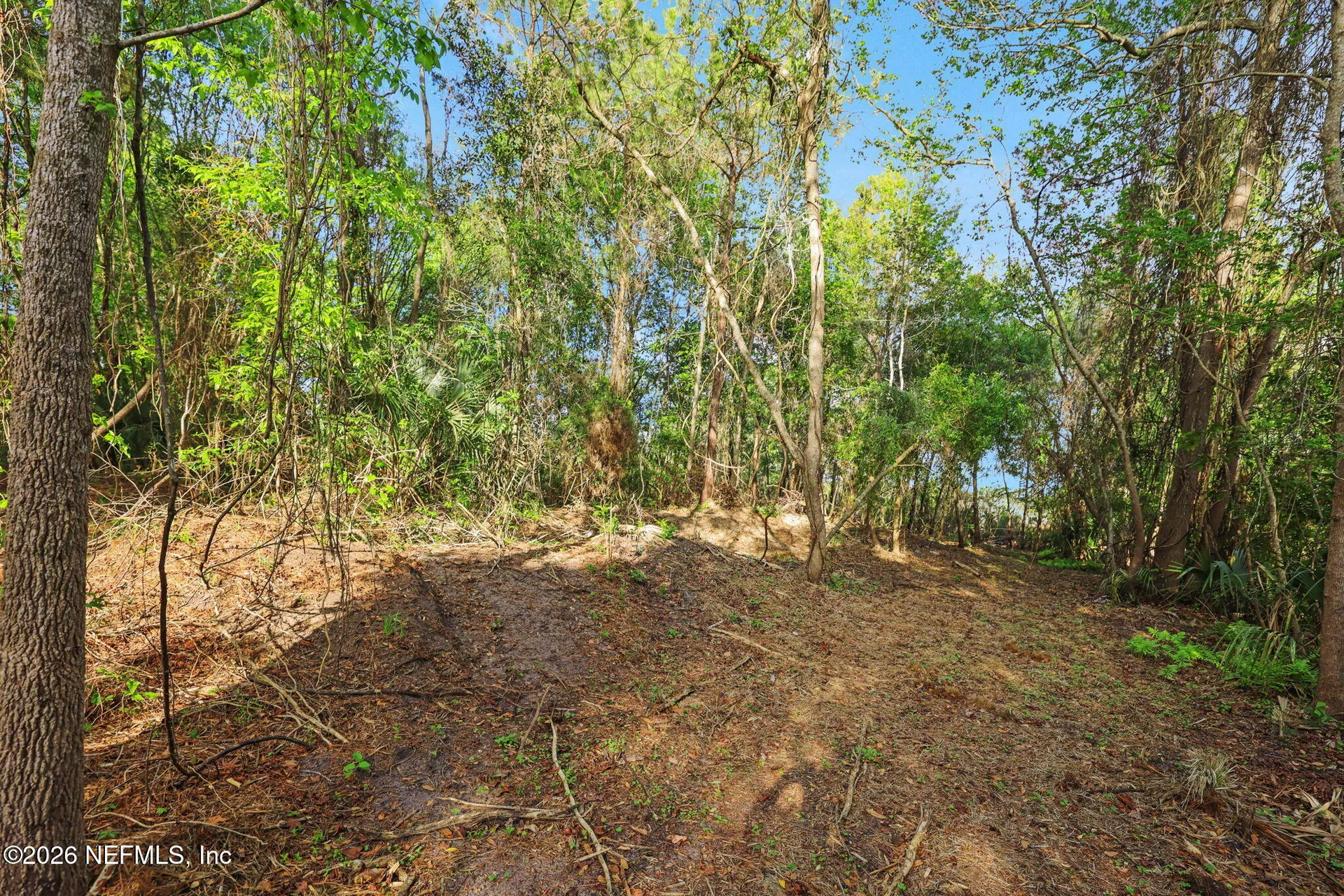 1133 Girvin Road Jacksonville FL 32225