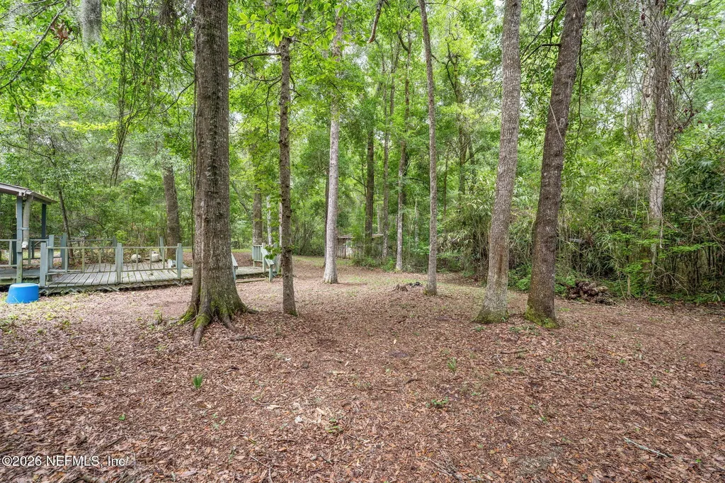 5991 Francine Drive Maxville FL 32234