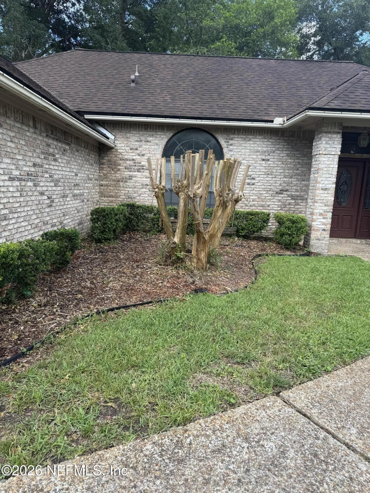 3052 Marrano Drive Orange Park FL 32073