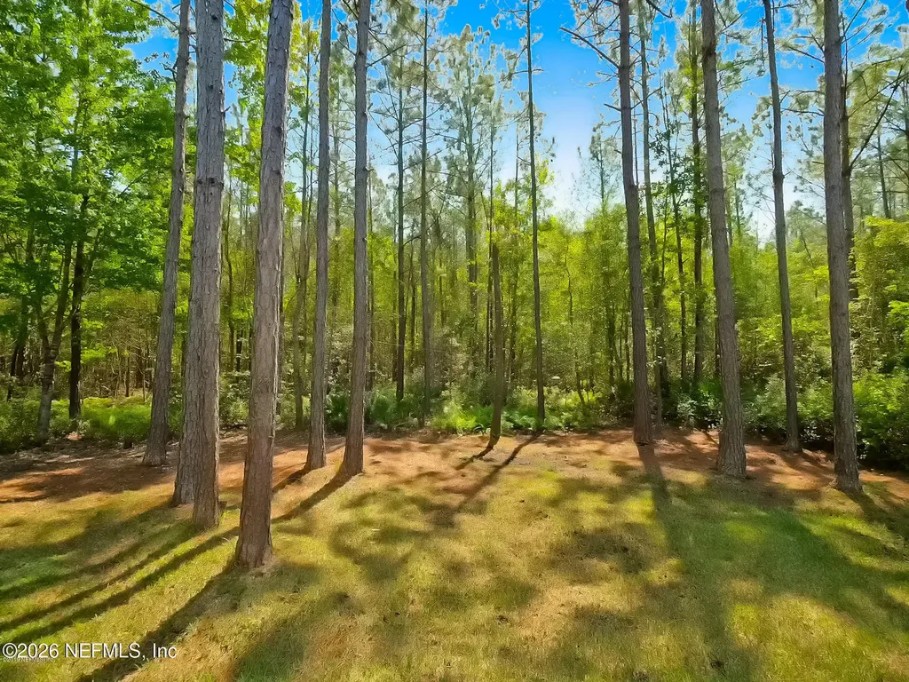 14525 Amelia Cove Drive Jacksonville FL 32226