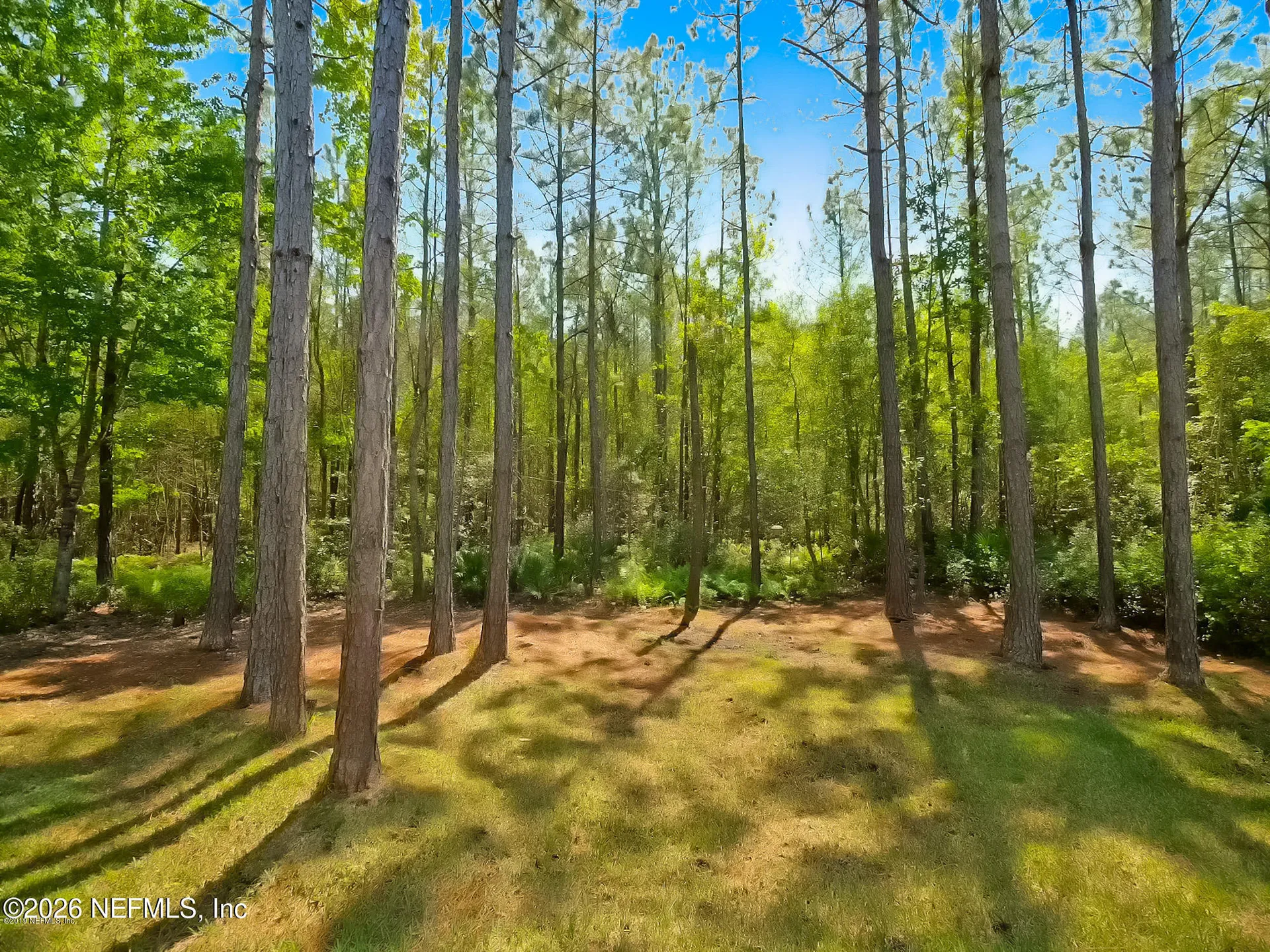 14525 Amelia Cove Drive Jacksonville FL 32226