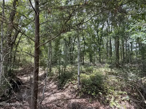 13794 SE 21st Avenue Starke FL 32091