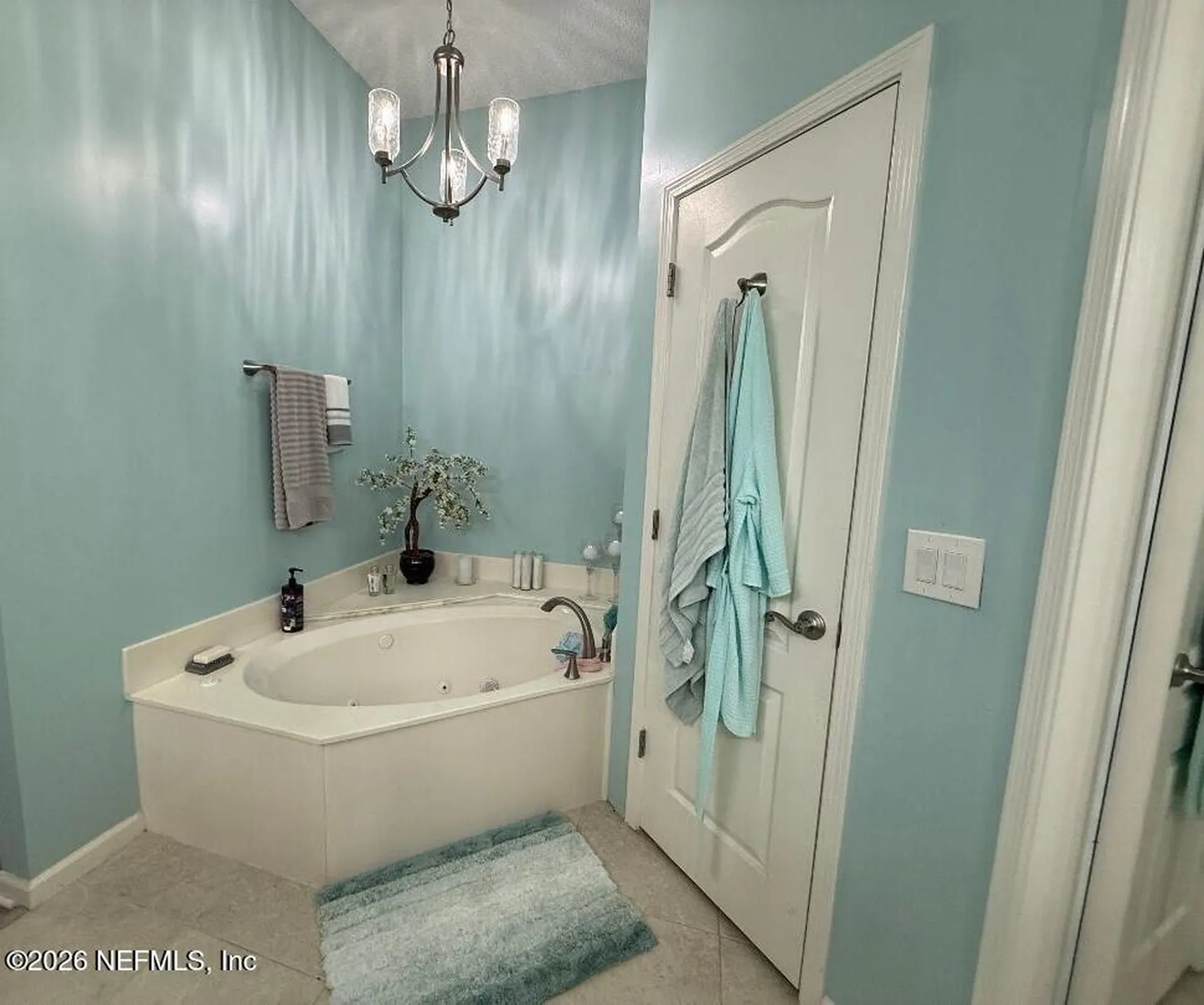3666 Clubhouse Drive Green Cove Springs FL 32043