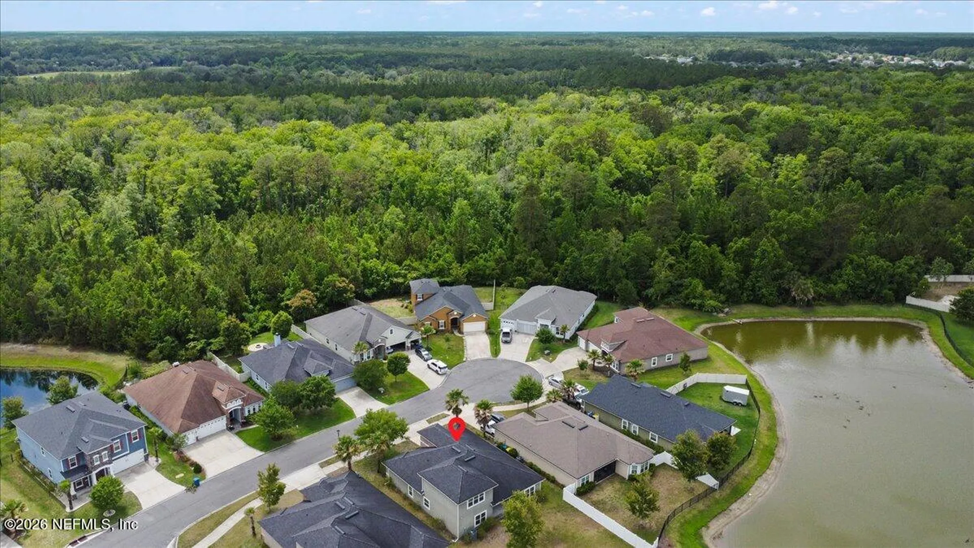 3825 Hammock Bluff Drive Jacksonville FL 32226