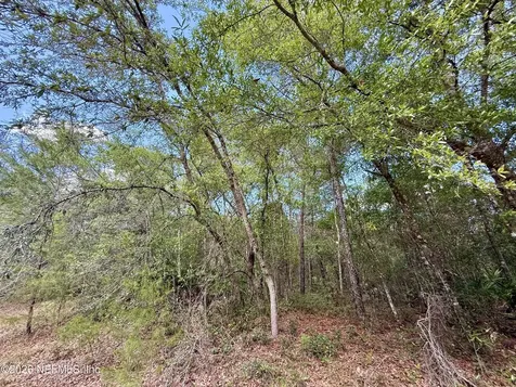 0140 Usina Avenue Interlachen FL 32148