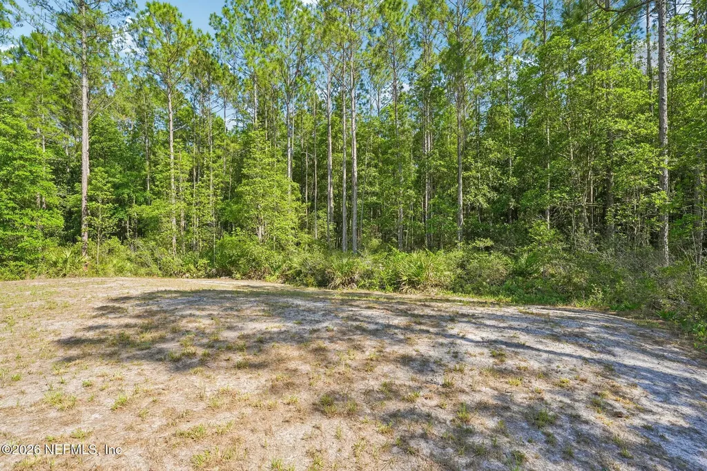 11373 Saddle Club Drive Jacksonville FL 32219