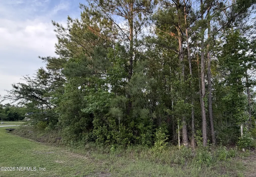 44046 Little Sweetgum Lane Callahan FL 32011