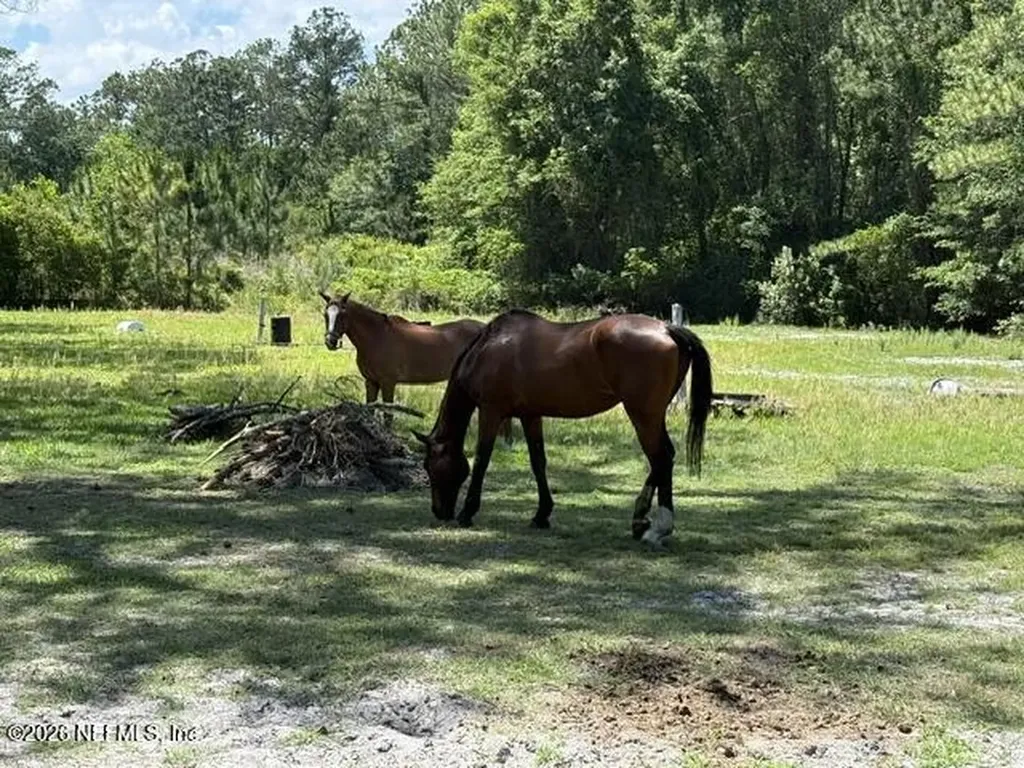 5214 Carter Spencer Road Middleburg FL 32068