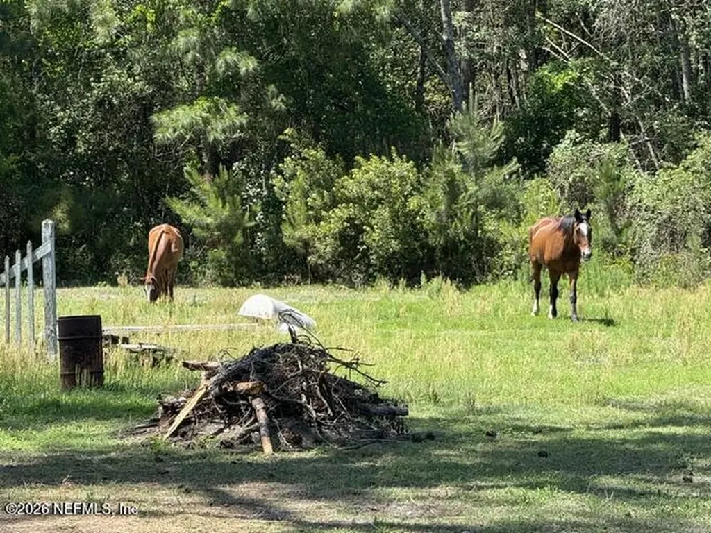 5214 Carter Spencer Road Middleburg FL 32068