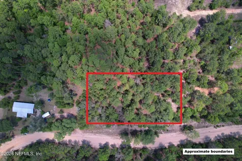 0 Caribbean Street Interlachen FL 32148