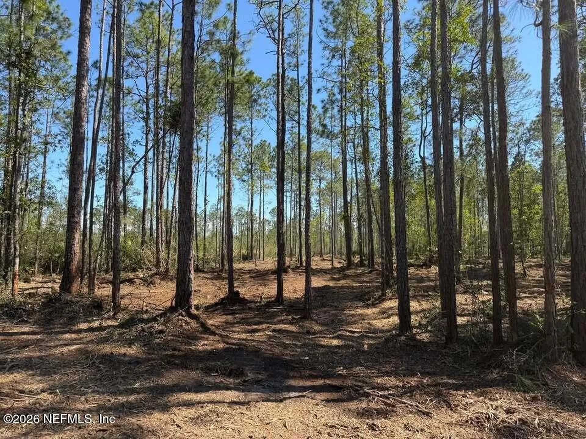0 SE 125th Street Starke FL 32091