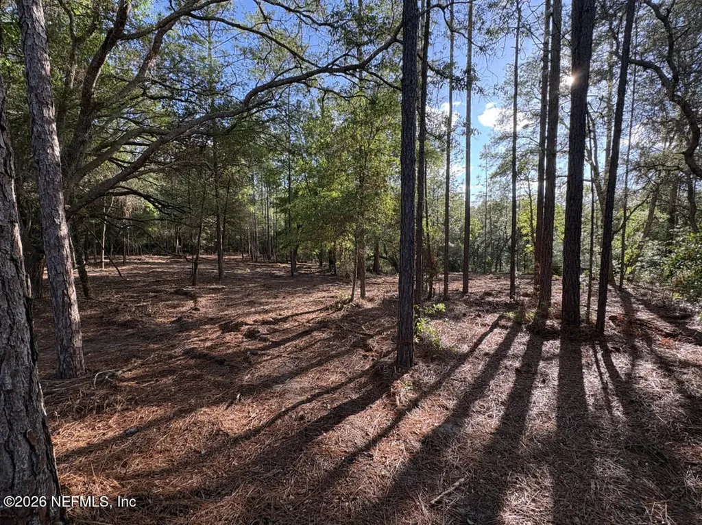 7472 Bigbend Court Keystone Heights FL 32656