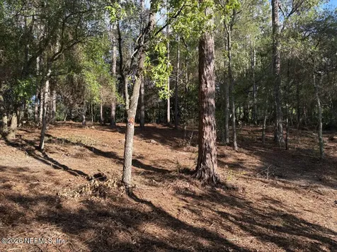 7472 Bigbend Court Keystone Heights FL 32656