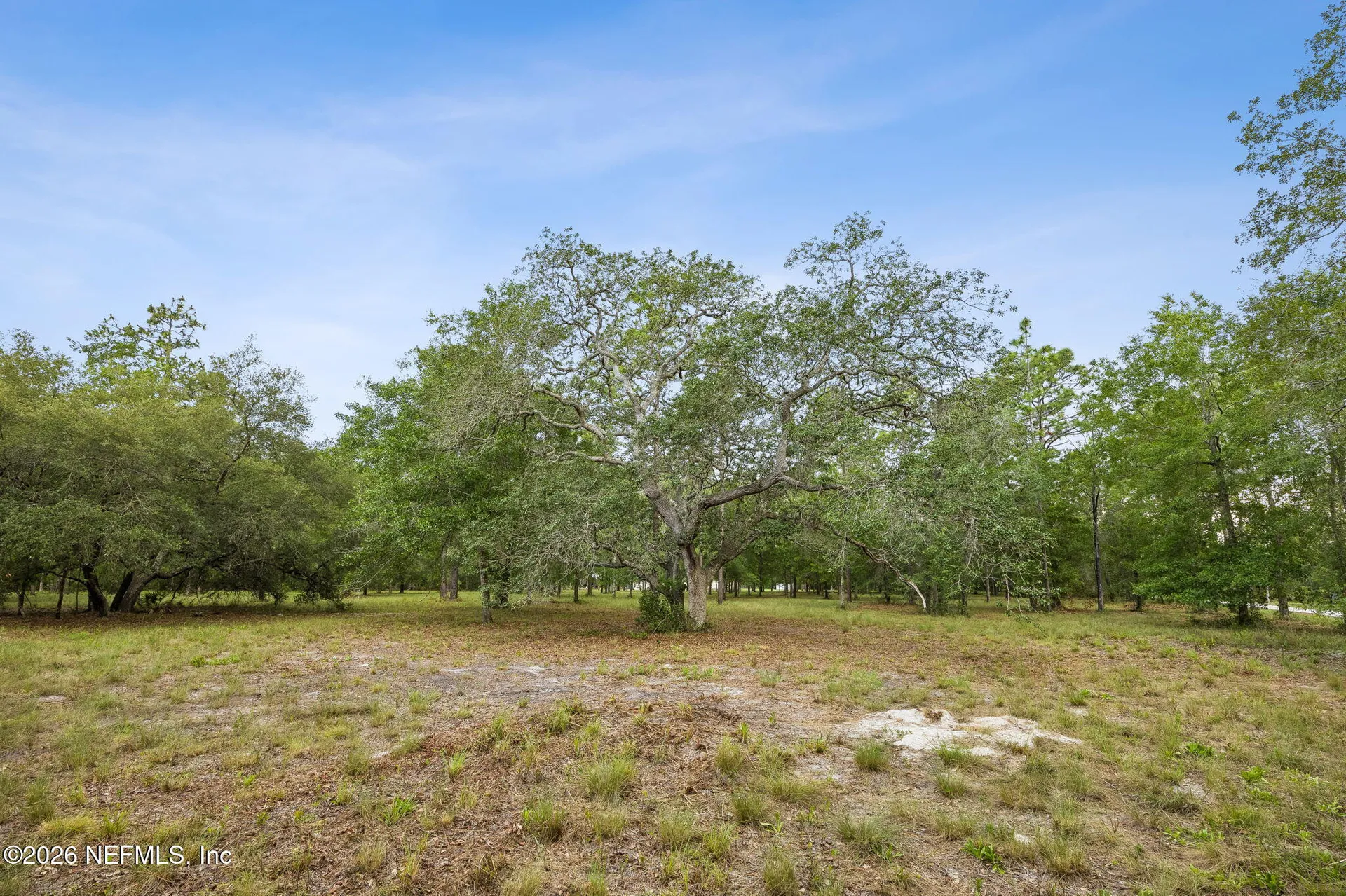 6015 Plantation Court Keystone Heights FL 32656
