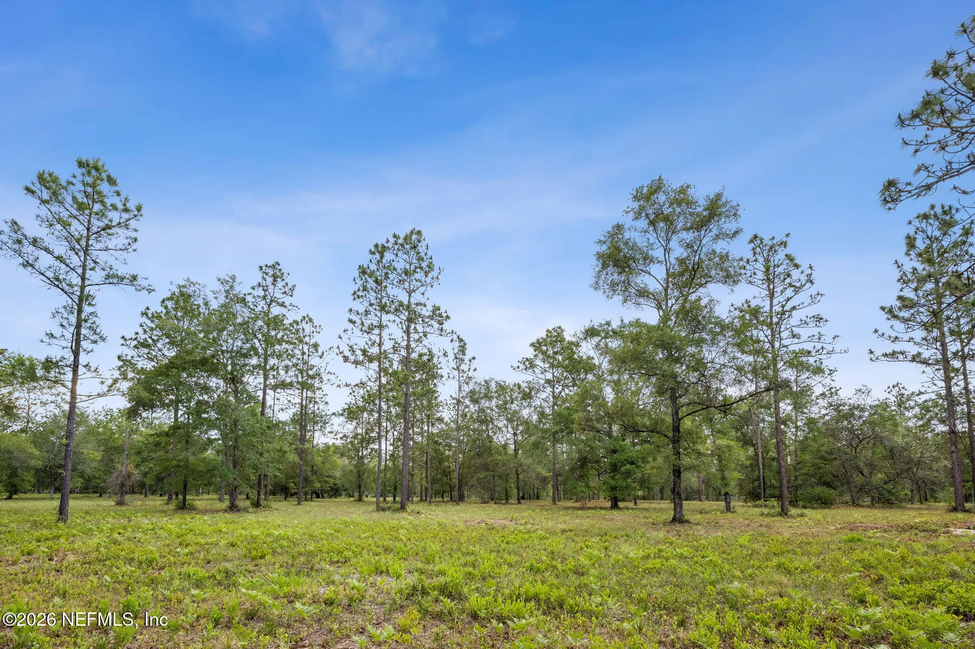 6015 Plantation Court Keystone Heights FL 32656