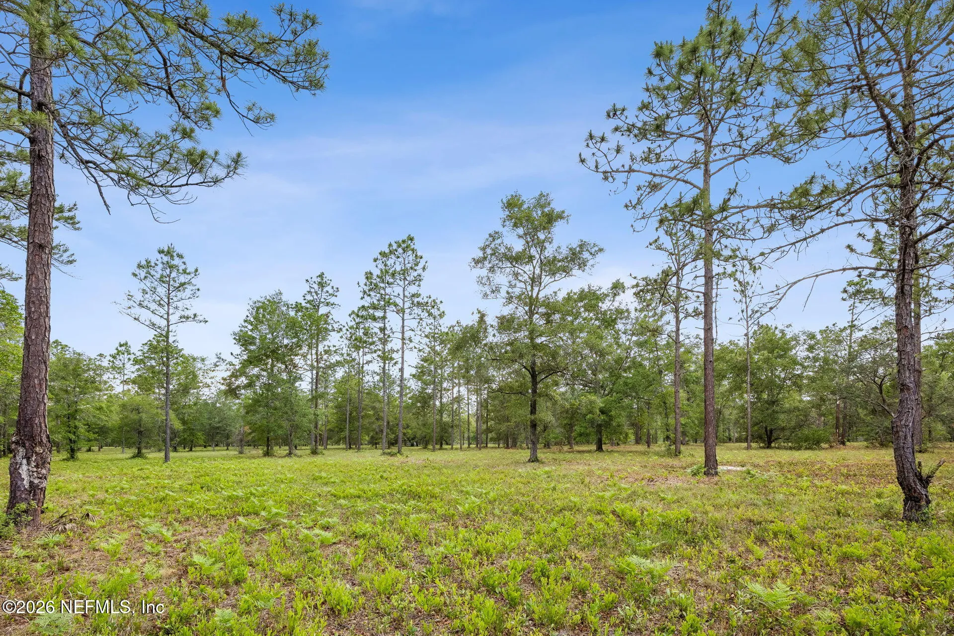 6015 Plantation Court Keystone Heights FL 32656