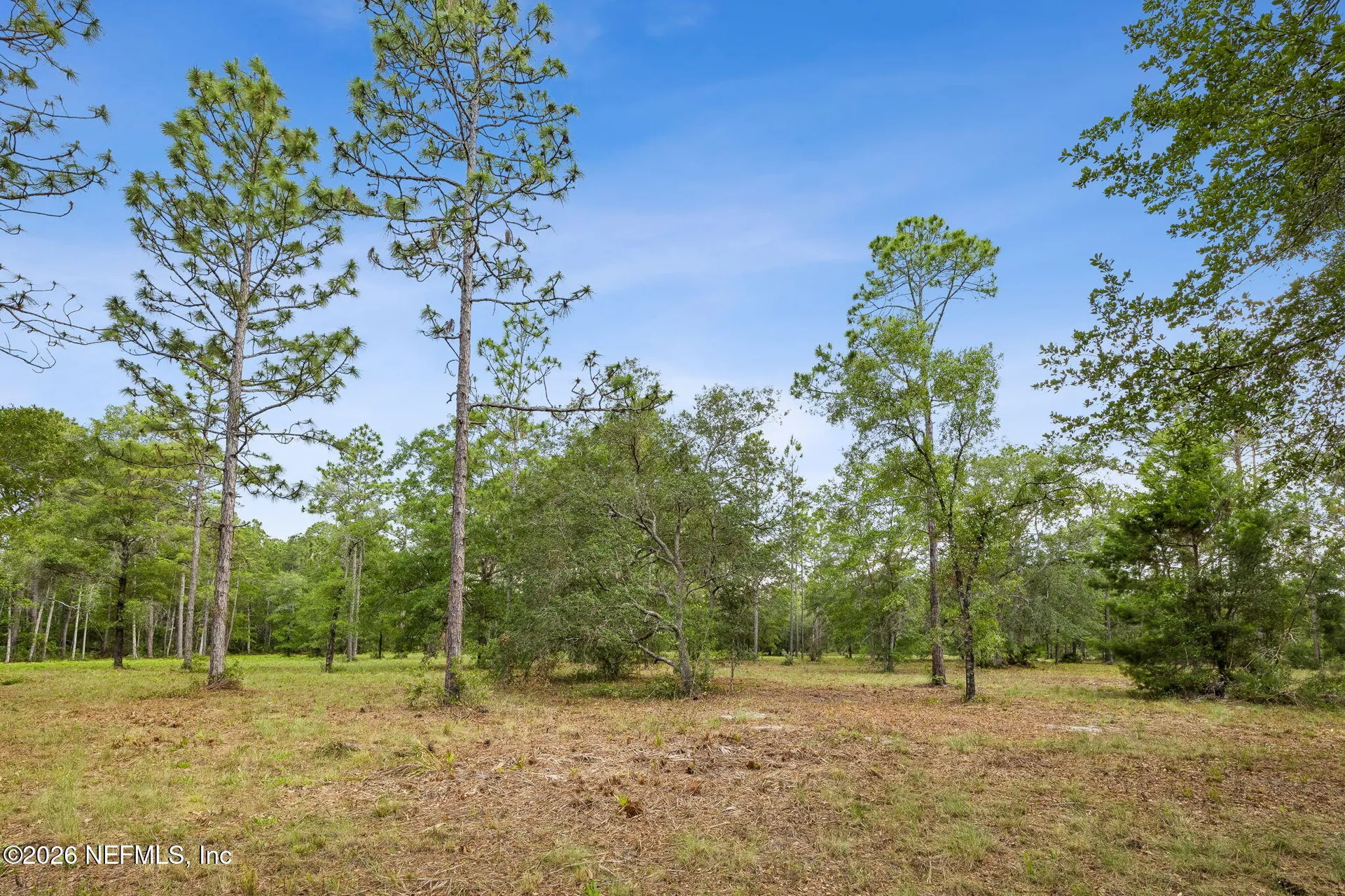 6015 Plantation Court Keystone Heights FL 32656