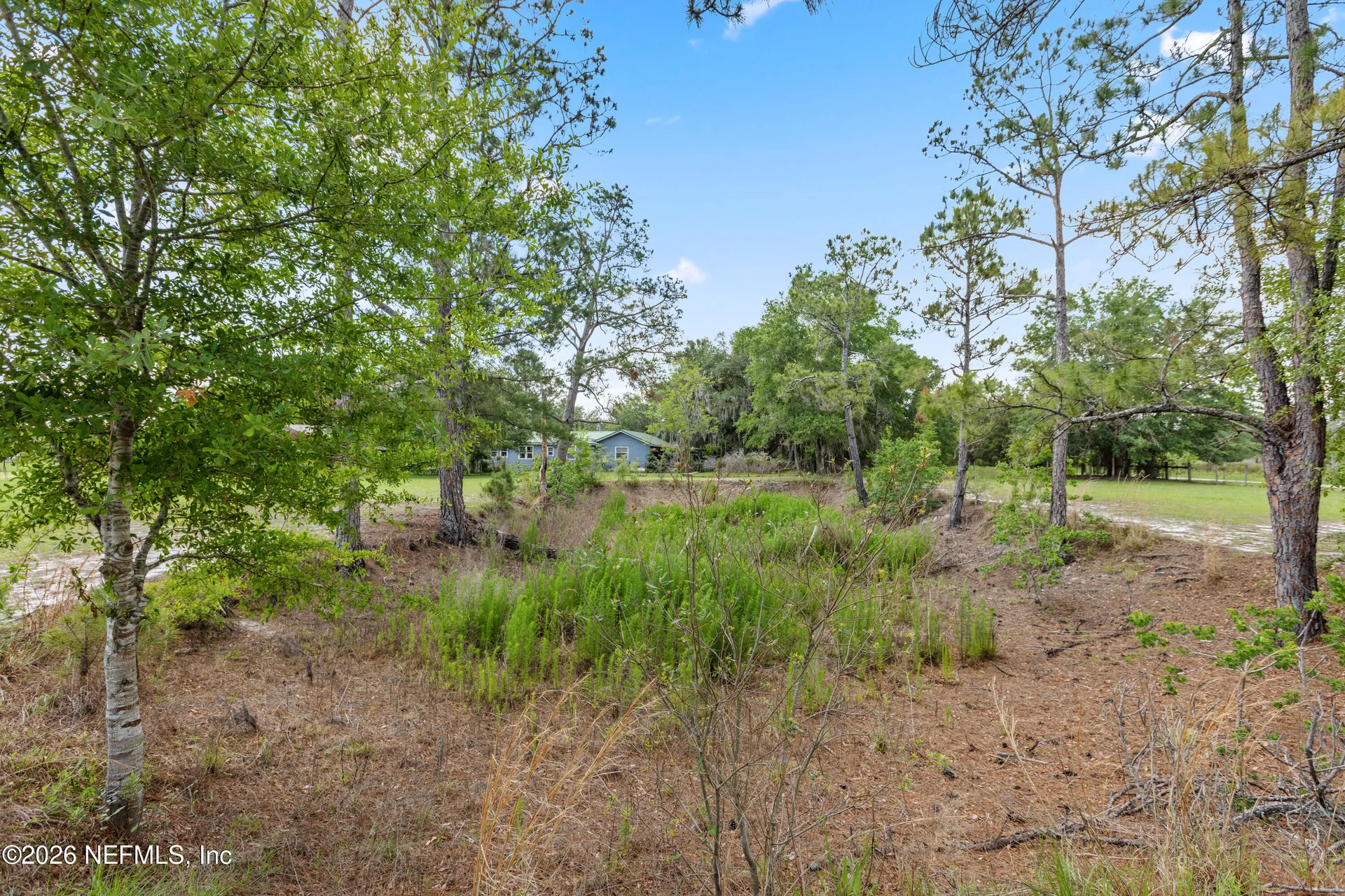 11115 SW 105th Street Brooker FL 32622