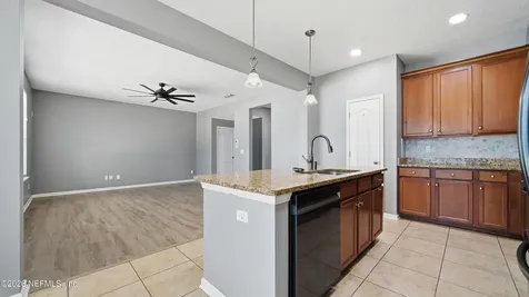 650 Briar View Drive Orange Park FL 32065