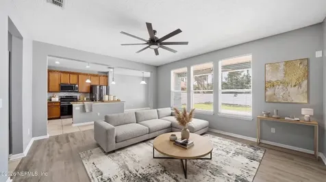 650 Briar View Drive Orange Park FL 32065