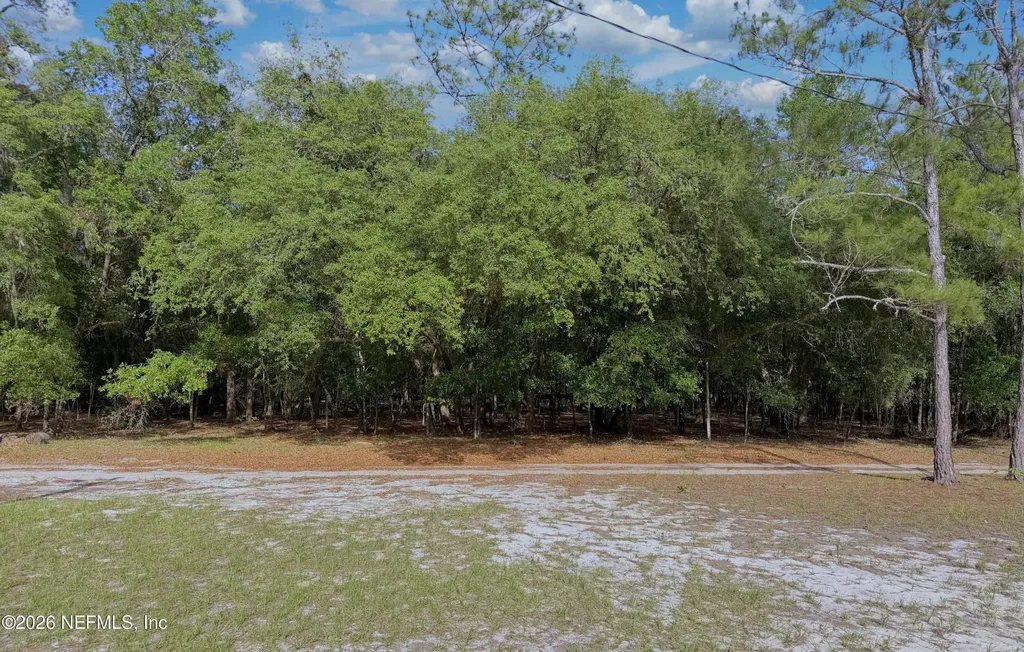 136 Short Pine Road Hawthorne FL 32640