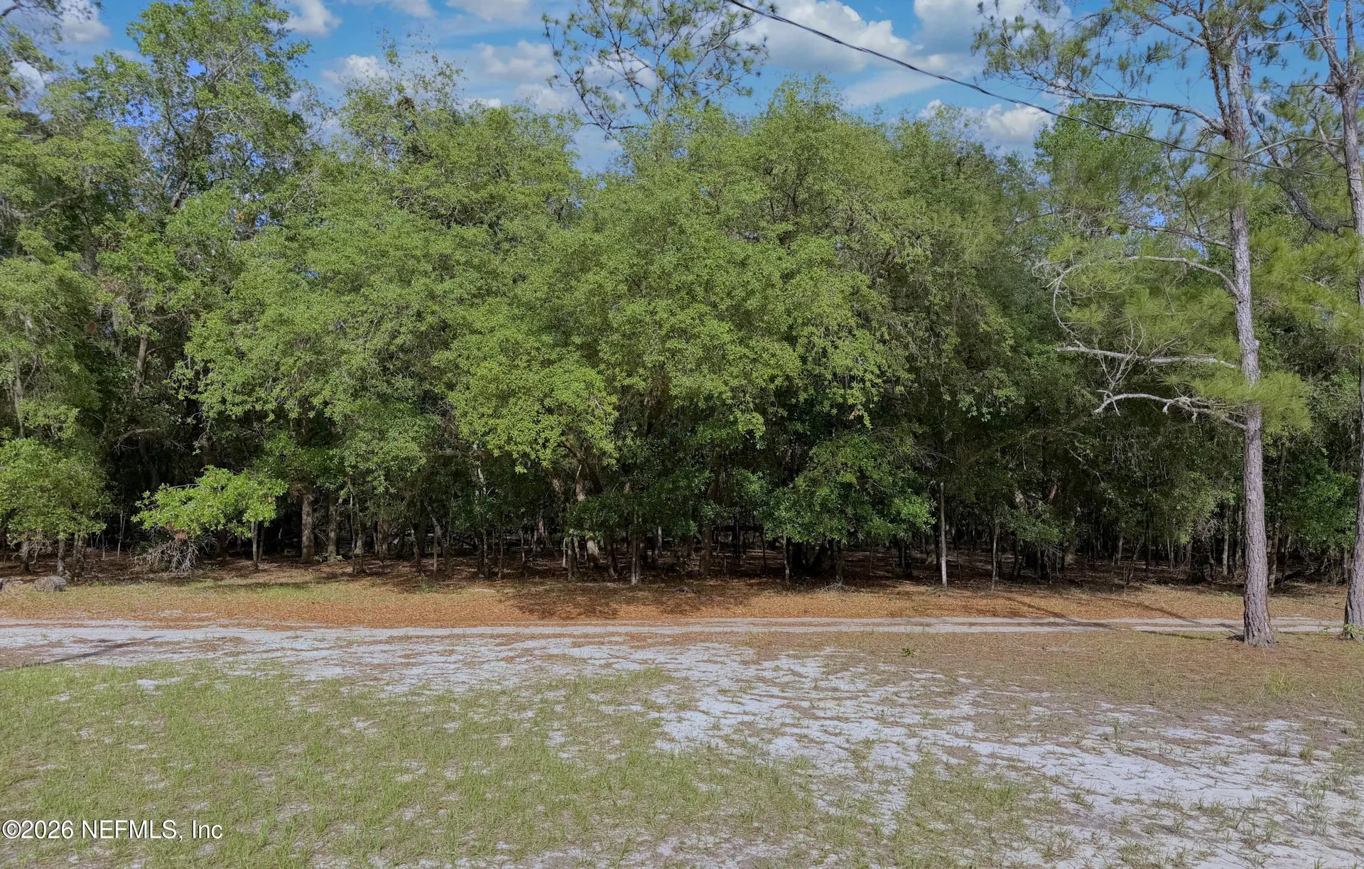 136 Short Pine Road Hawthorne FL 32640