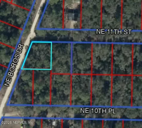 Tbd NE 11th Street Williston FL 32696