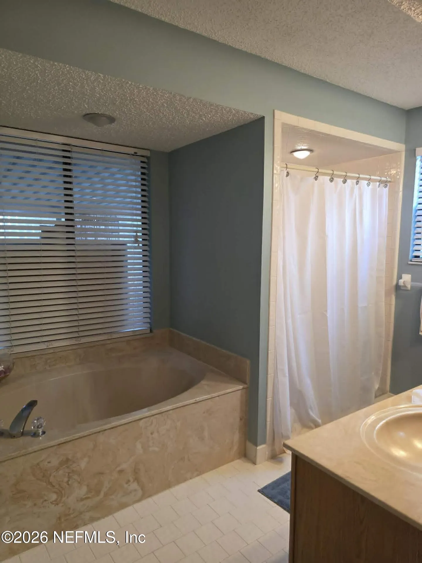 2058 Wax Myrtle Court Orange Park FL 32073