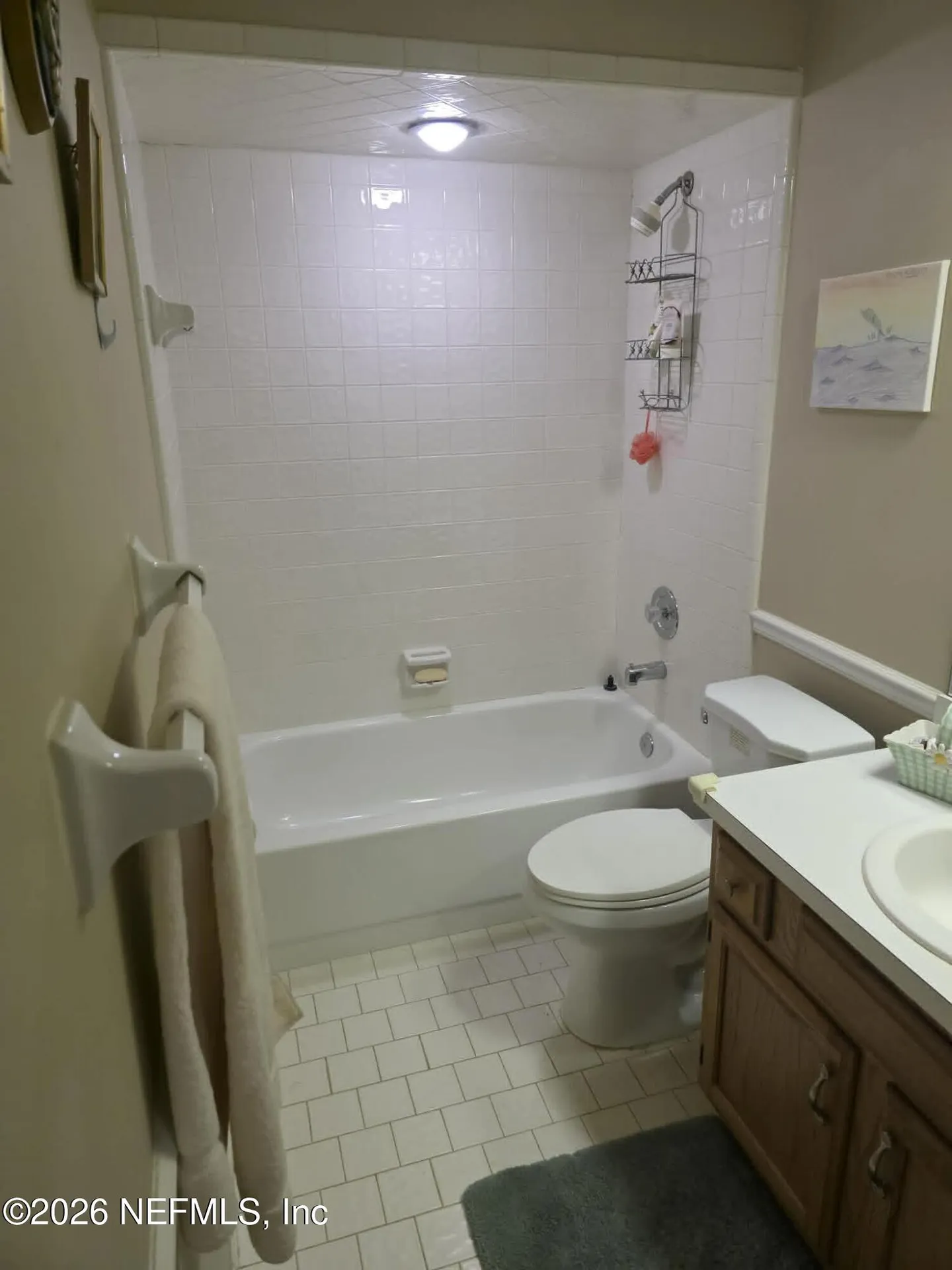 2058 Wax Myrtle Court Orange Park FL 32073