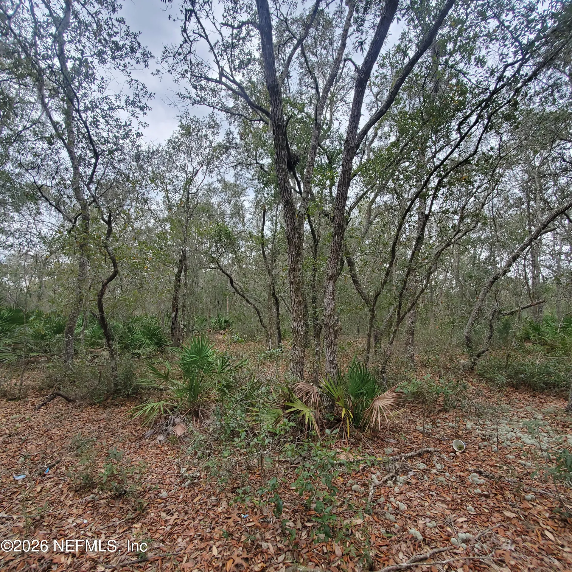 127 Glendale Avenue Interlachen FL 32148