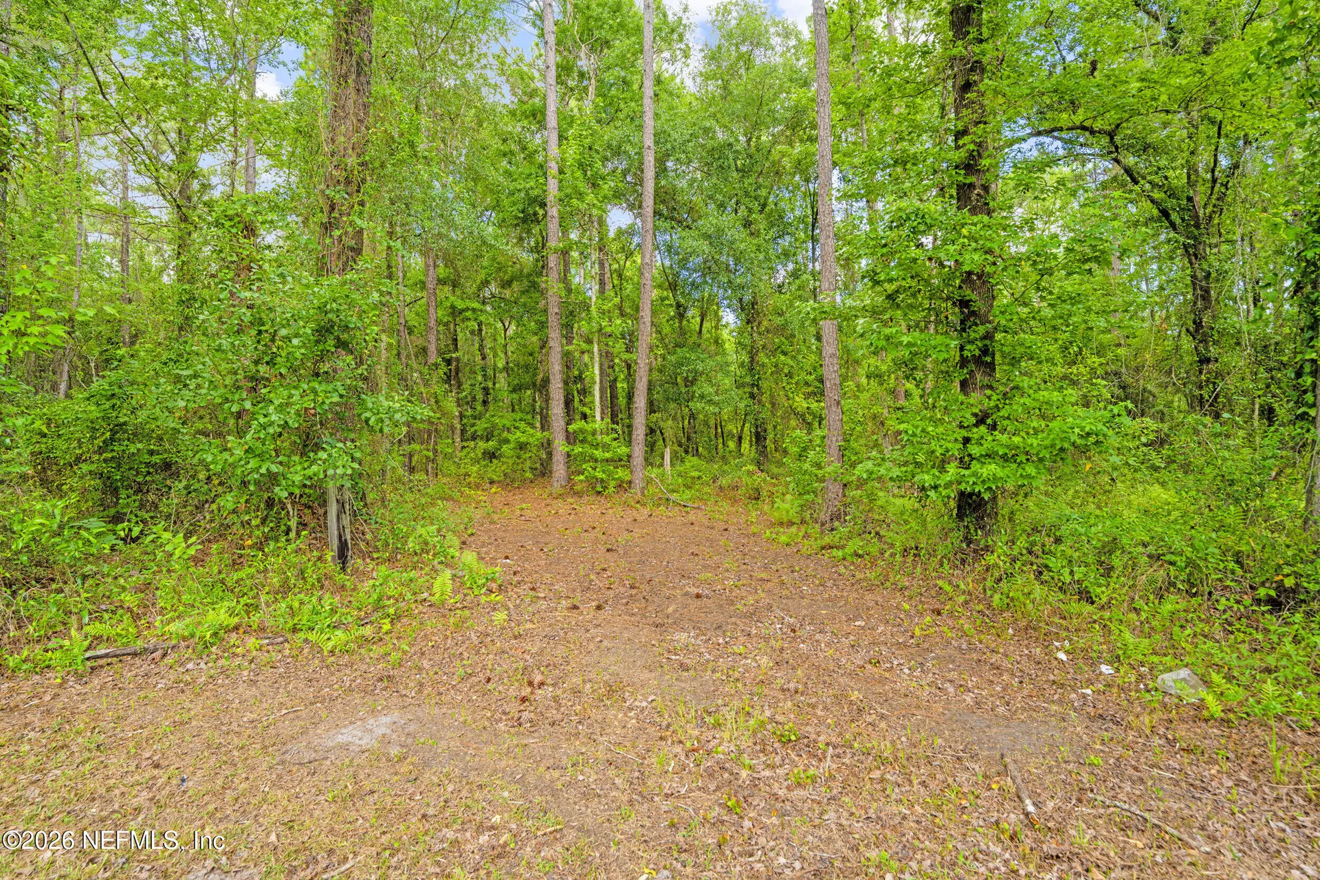 1885 County Road 13a N St. Augustine FL 32092