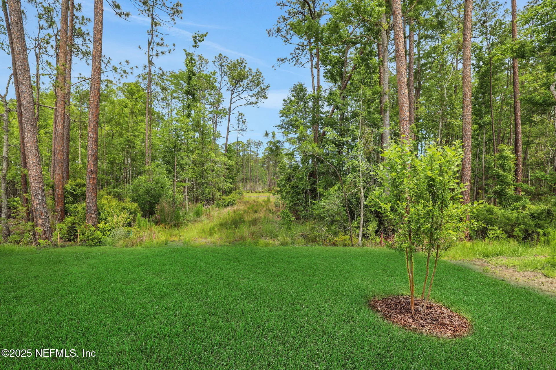 674 Farmfield Drive St. Augustine FL 32092